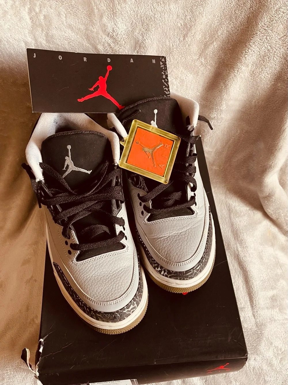 (Men’s) Air Jordan Retro 3 Wolf Grey/Metallic/Black/White with Silver Accent